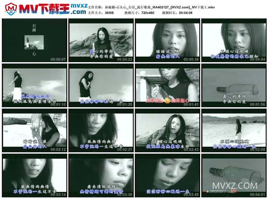 孙淑媚-石头心_台语_流行歌曲_MA402127